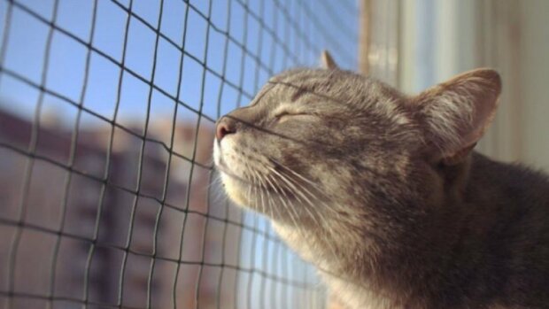 Тепло останется в феврале: синоптики дали прогноз на март