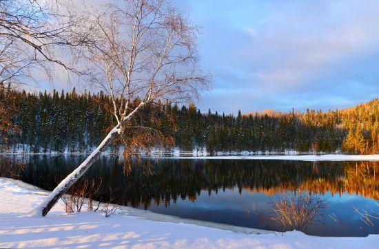 Потепление уже скоро: синоптик порадовала украинцев прогнозом погоды
