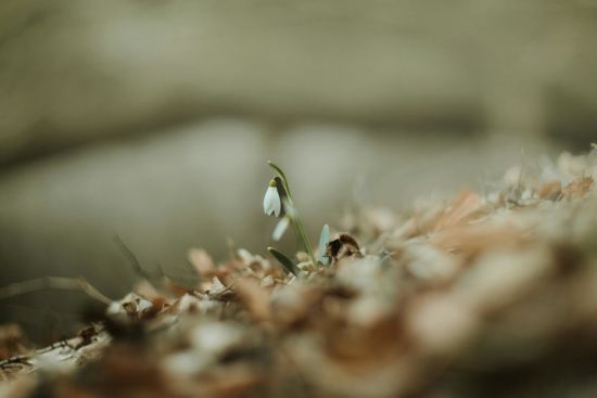 В Украину идет потепление: синоптик назвала даты