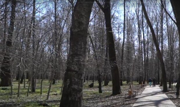 Солнце, дождь и долгожданное тепло: синоптики пообещали украинцам +14 под конец февраля