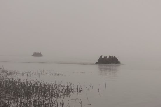 Гуменюк рассказала о ситуации возле Крынок: плацдармы ВСУ укреплены