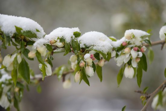 Погода в первую неделю марта: во всех областях Украины ударят морозы до -10