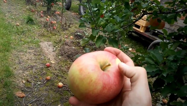 Незаметная деталь, которая говорит об 