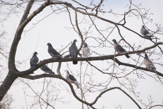 Місцями мороз та мокрий сніг: прогноз погоди в Україні 10 березня